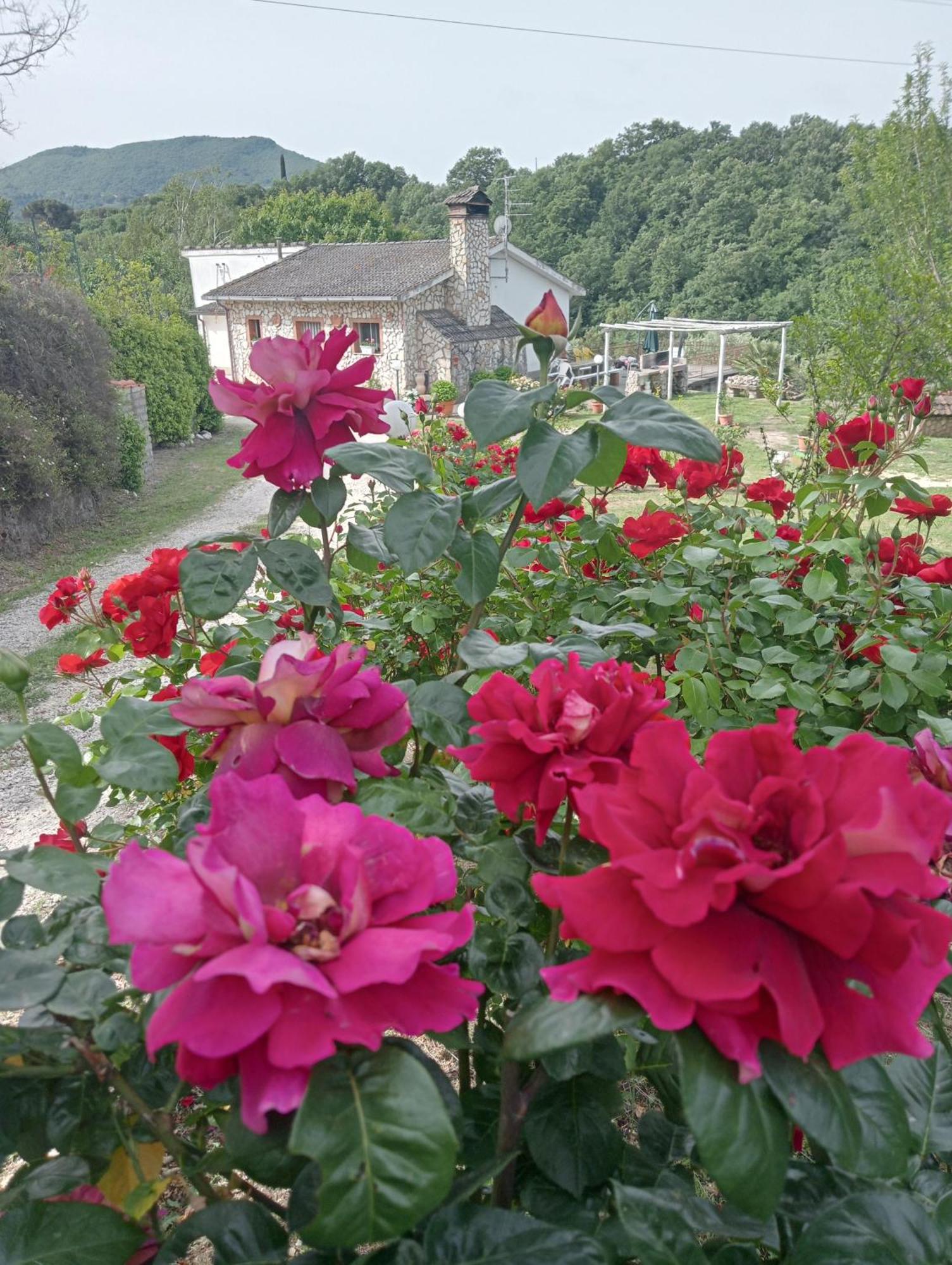 Alloggio Turistico Вітербо Екстер'єр фото